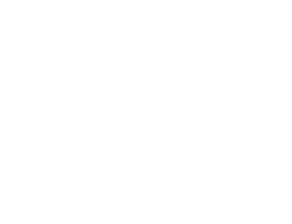 ZIGLIFE LLC